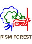 RiSM FOREST - リズムフォレスト